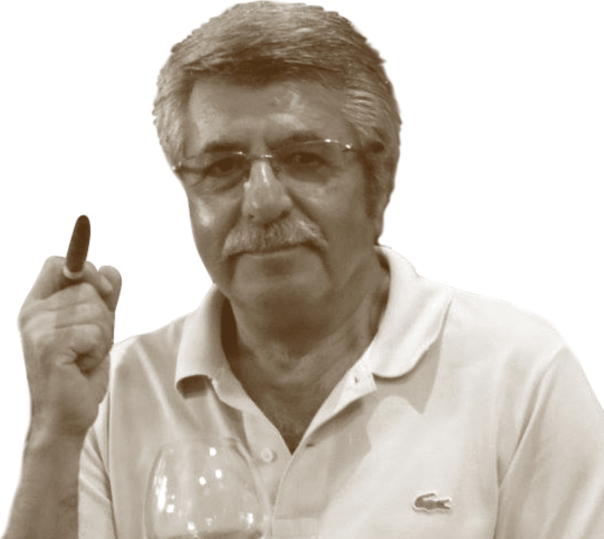 Renato Ansaldi